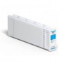 Cartuccia inchiostro ciano 700 ml T800200