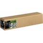 Rotolo Epson fine art cotton textured bright C13S450285NQ