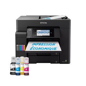 In che modo si possono stampare mappe GIS dettagliate con la massima accuratezza dei dati spaziali?