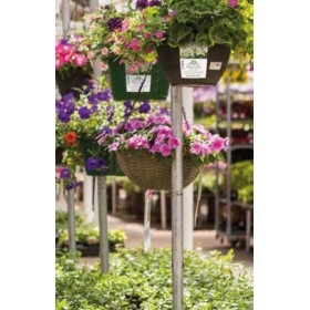 Perché il supporto in BOPP satinato è la scelta ideale per le etichette dei vivai?