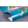 Rotolo Carta TrueColor - CAD 180gr - h1067cmx30mt