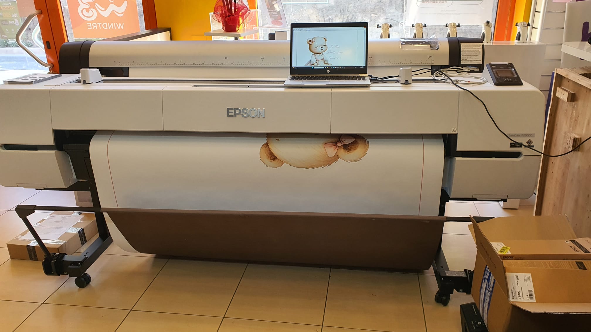 Immagine WhatsApp 2024-05-17 ore 09-09-52_ad28a464.jpg